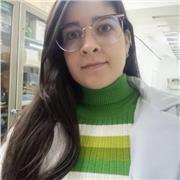Clases ON-LINE Matemáticas y Física: apoyo personalizado y resolución de ejercicios